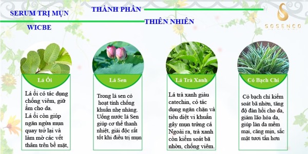 serum đặc trị mụn